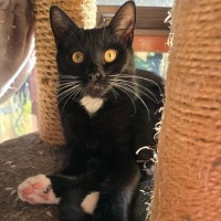 Photo of Nevie