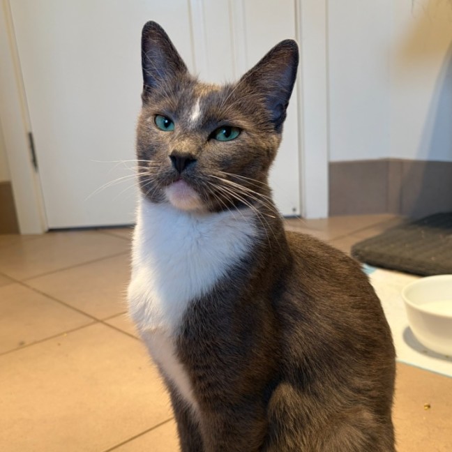 Photo of Pippa