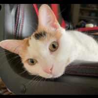 Photo of Kiki