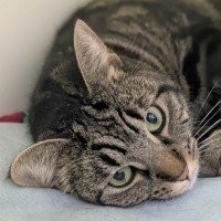 Photo of 🍧 Maisie 6301 🍧