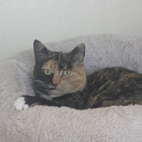 Photo of 🌖 Agatha 6518 🌖