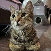 Photo of Gem
