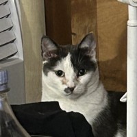 Photo of Cookie Mumma