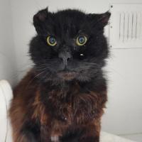 Photo of 🎣 Greg 6702 🎣