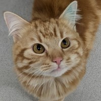 Photo of 🎃 Jonesy 6455 🎃