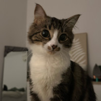 Photo of Mira 🌷🌺