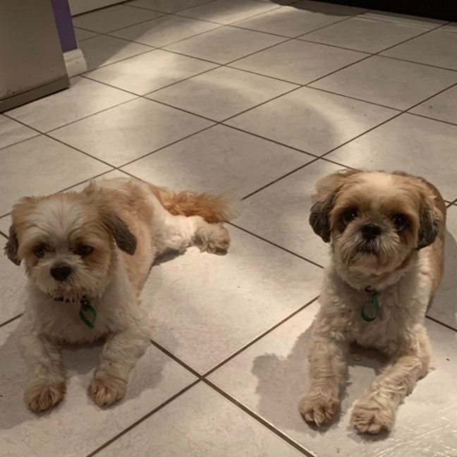 Photo of Chewy & Squiddley