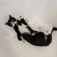 Photo of Slinky