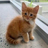Photo of Niles