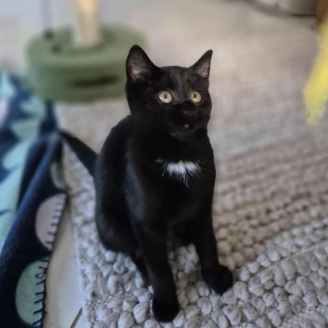 Photo of Arthur