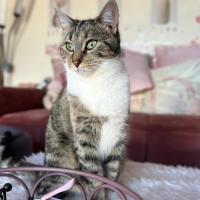 Photo of 🐭 Styx 🐭