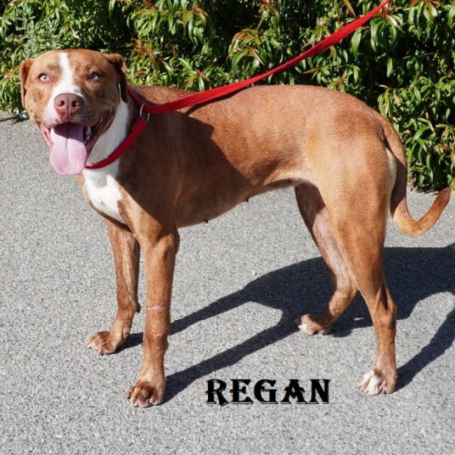 Photo of Regan