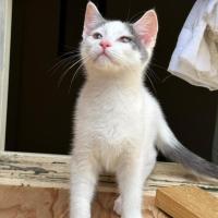 Photo of Finlay & Isla