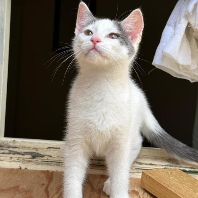 Photo of Finlay & Isla