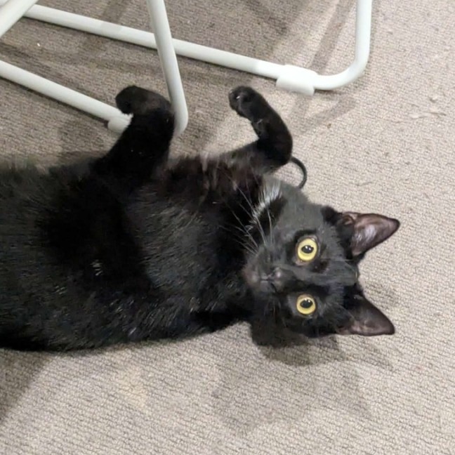 Photo of Daria