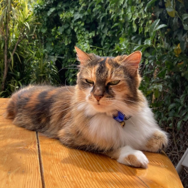 Photo of Buffy