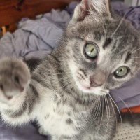 Photo of Tyrone