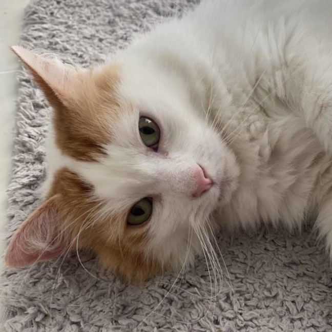 Photo of Wiggles 🐛