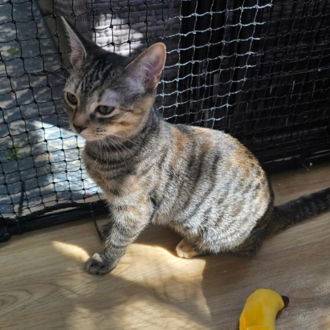 Photo of Hazel