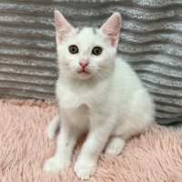 Photo of Luci