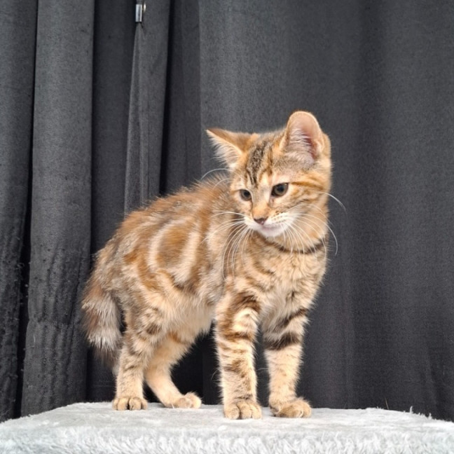 Photo of Amelia