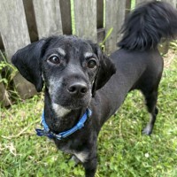 Photo of Sootie