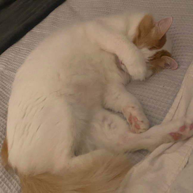 Photo of Wiggles 🐛