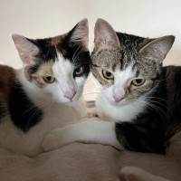 Photo of Cali & Penny💗