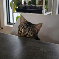 Photo of Tabitha