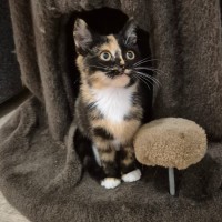 Photo of Lulu
