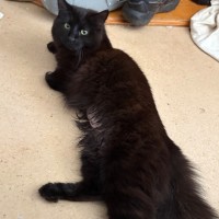 Photo of Wendy