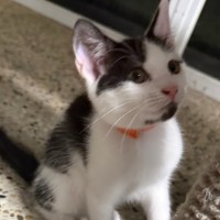 Photo of Olivia