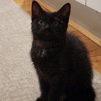 Photo of Teila 🌺🌺