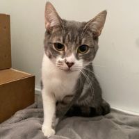 Photo of Daisie