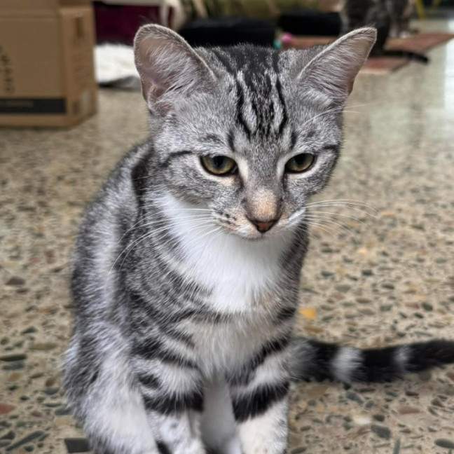 Photo of Otis And Reading