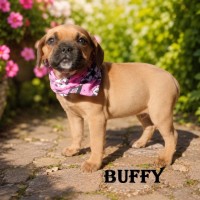 Photo of Buffy