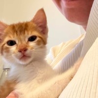 Photo of Monty