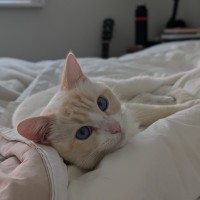 Photo of Lola