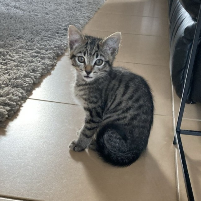 Photo of Jasper