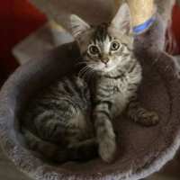 Photo of Marie 