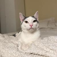 Photo of Finlay & Isla