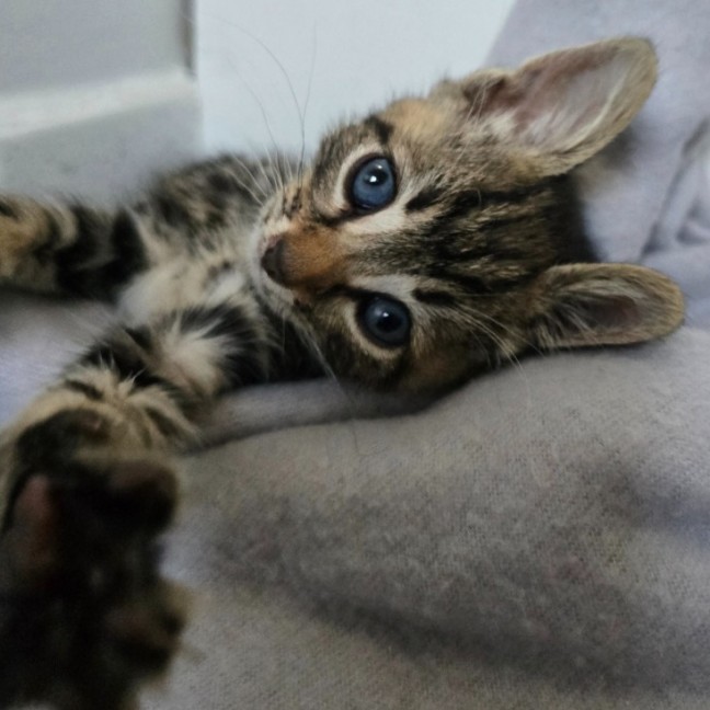 Photo of 💚 Marshall 💚