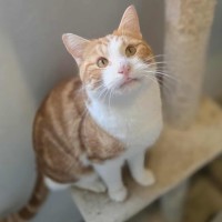 Photo of Kevin Jonas 💛