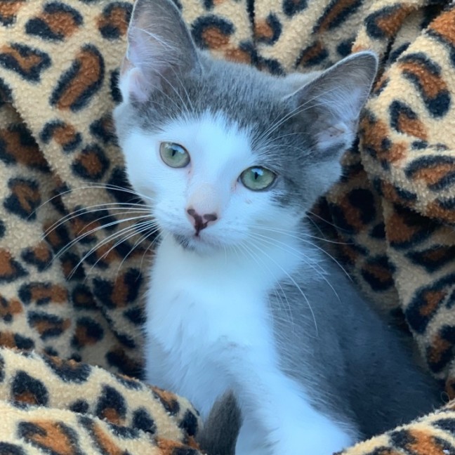 Photo of Chad 🐻‍❄️💙🐻‍❄️