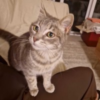 Photo of  Brixie Rue