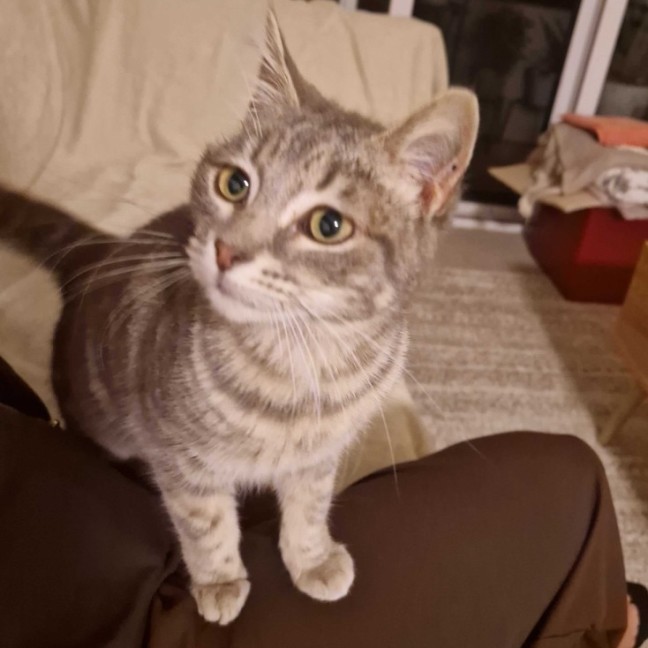 Photo of  Brixie Rue