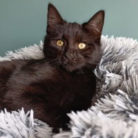 Photo of Cindy