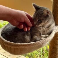 Photo of 🐭 Gustav 🐭