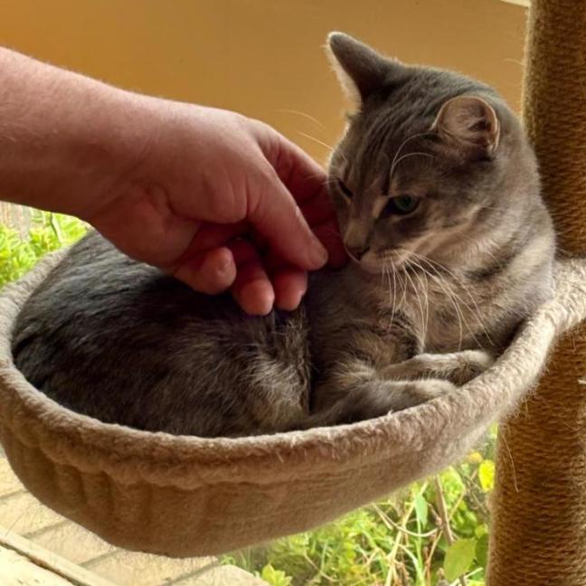 Photo of 🐭 Gustav 🐭