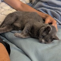 Photo of Luna